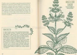 Vivere Bene con le Piante Antistress
