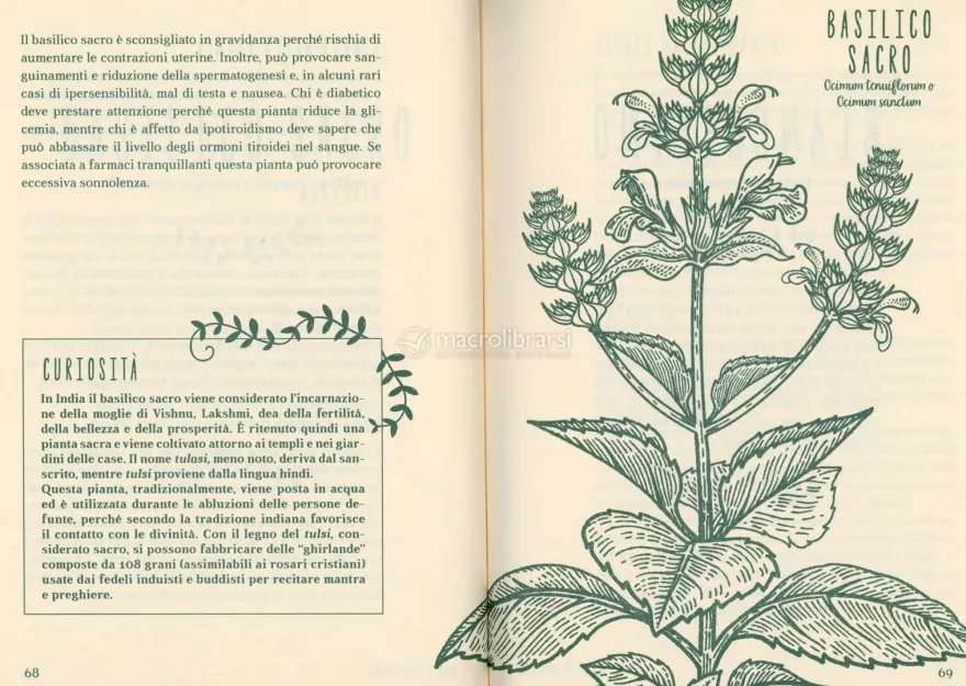 Vivere Bene con le Piante Antistress
