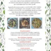 Vivo e Vegeto... tra le Verdure
