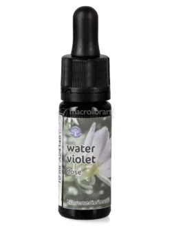 Water Violet - Dose