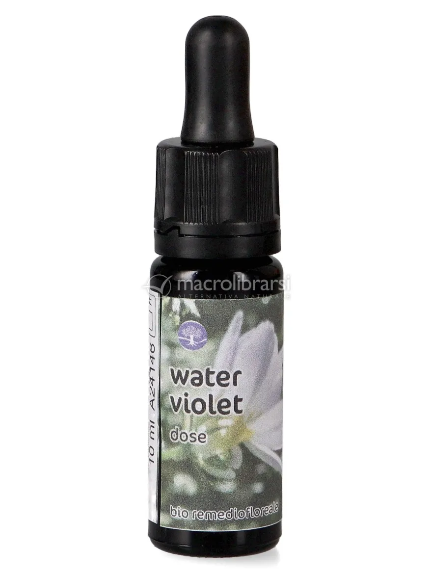Water Violet - Dose