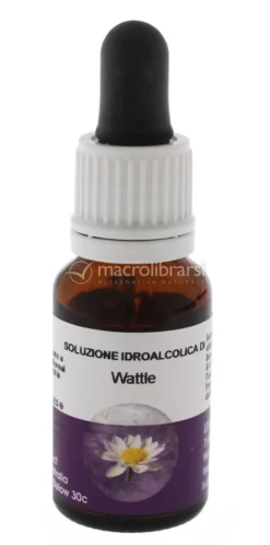 Wattle - Fiori australiani