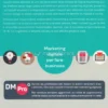 Web Marketing per le PMI