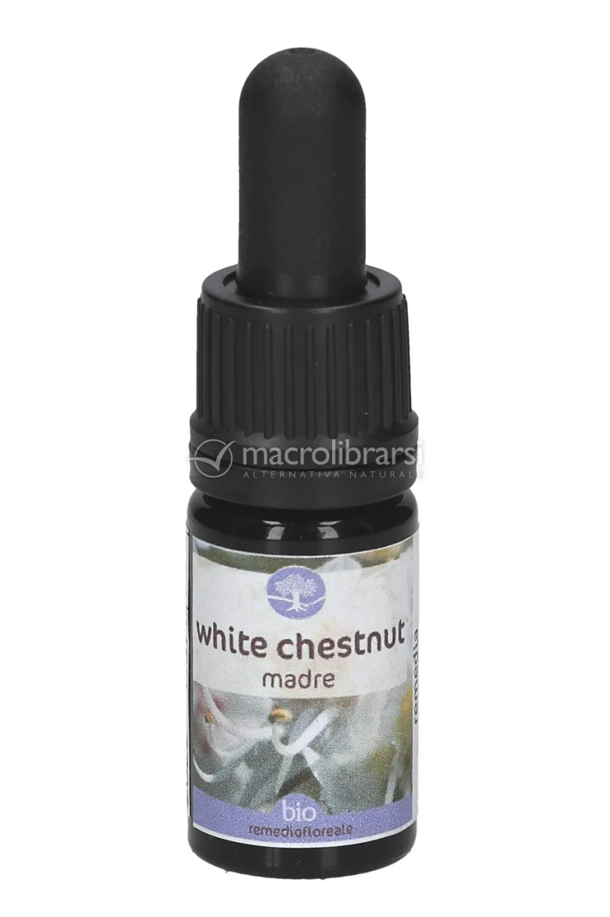 White Chestnut - Soluzione Madre
