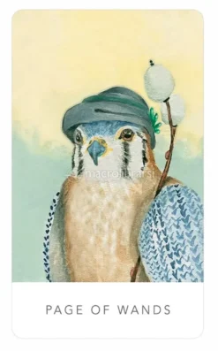 White Sage Tarot