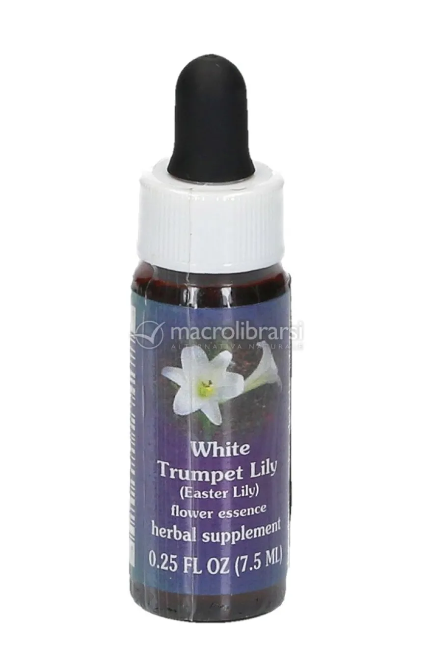 White Trumpet Lily - Fiori californiani