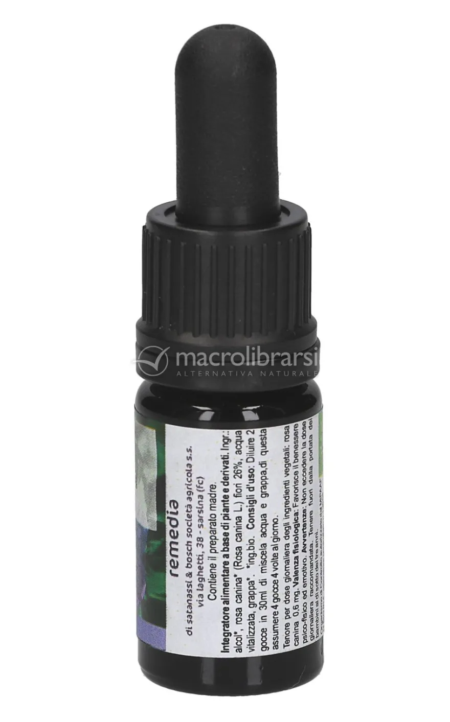 Wild Rose - Soluzione Madre