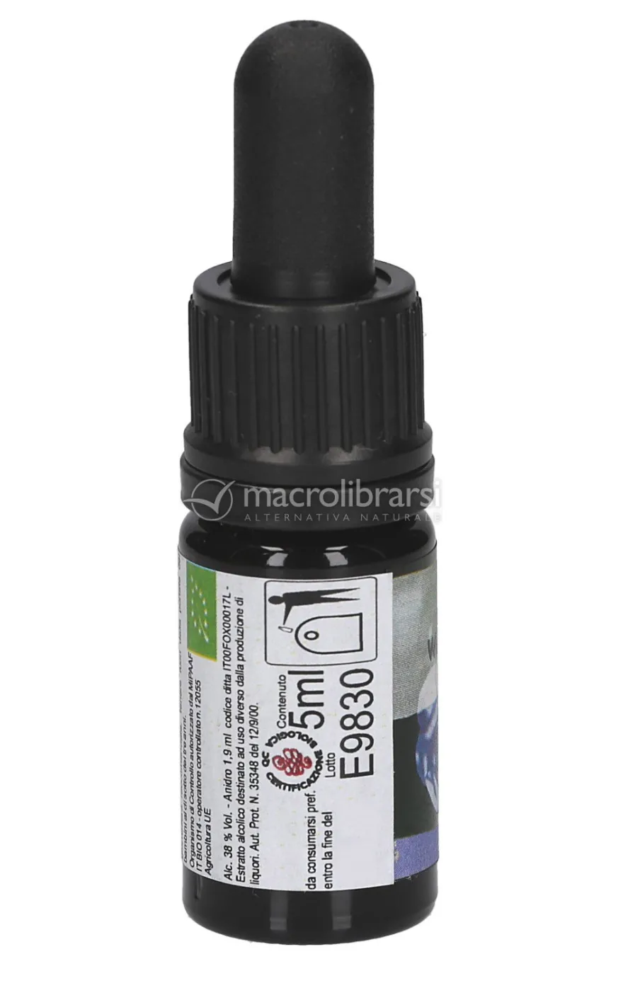 Wild Rose - Soluzione Madre