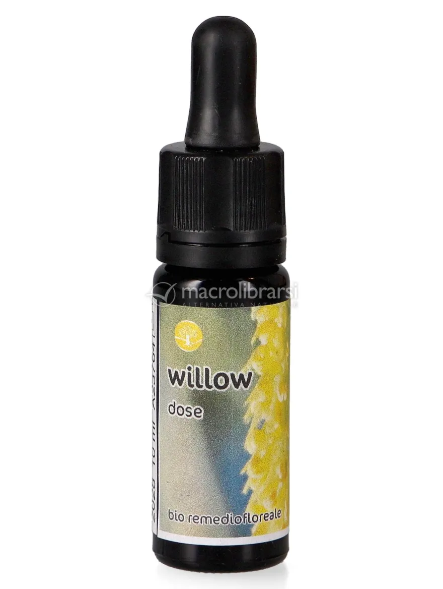 Willow - Dose