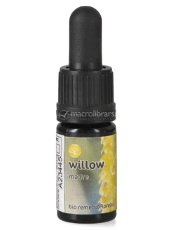 Willow - Soluzione Madre