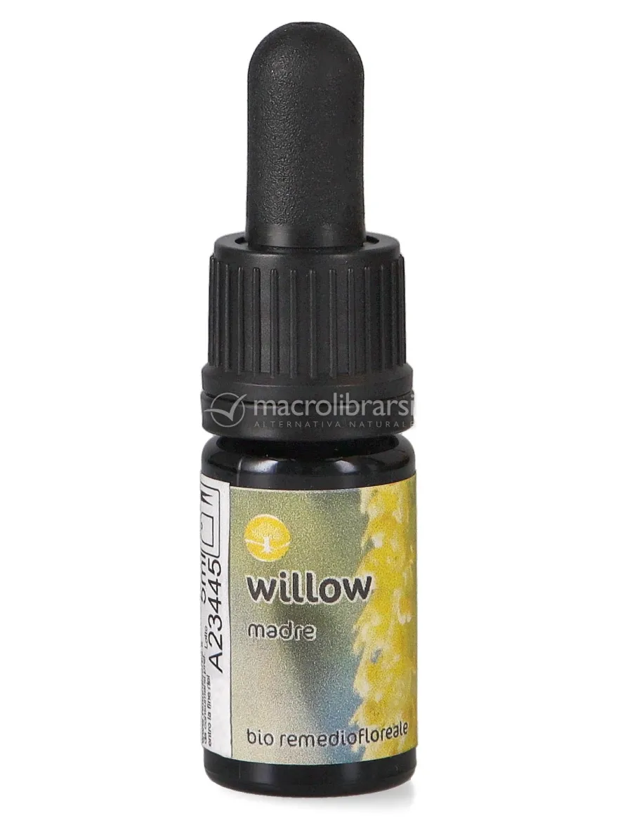 Willow - Soluzione Madre