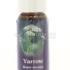 Yarrow - Fiori californiani
