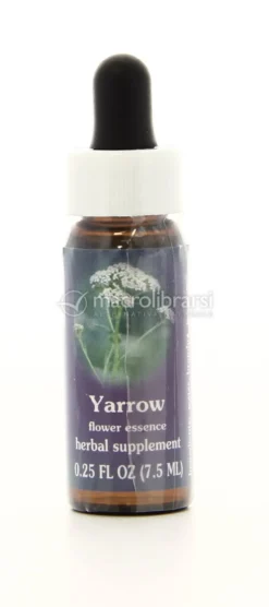 Yarrow - Fiori californiani