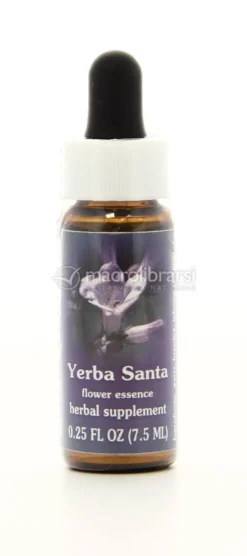 Yerba Santa - Fiori californiani