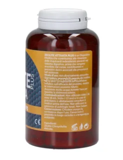 Zeolite Plus Attivata